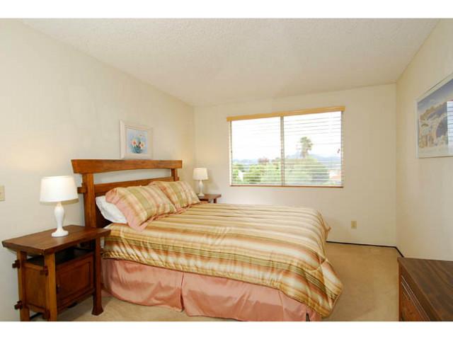 377 Willowspring Dr, Encinitas, CA 92024 photo 17