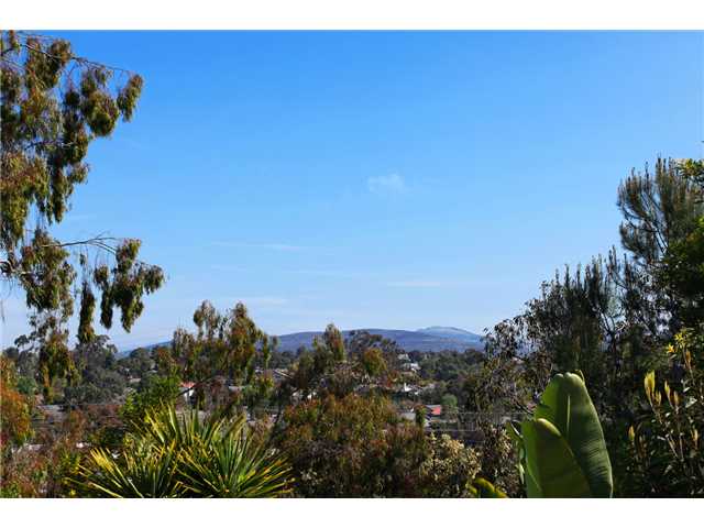 249 Via Tavira, Encinitas, CA 92024 photo 22