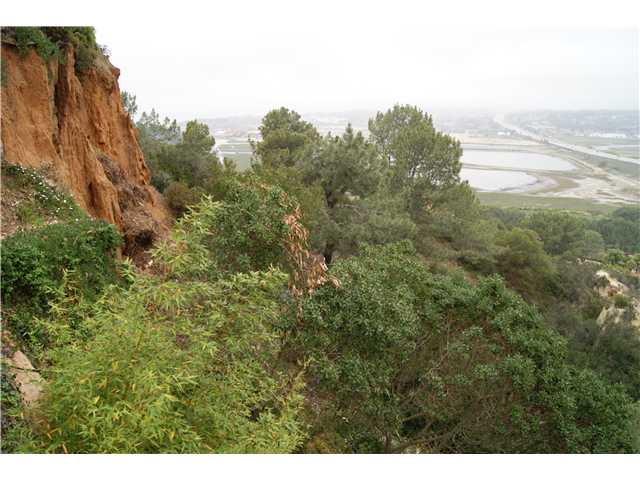 2480 Mango Way, Del Mar, CA 92014 photo 7