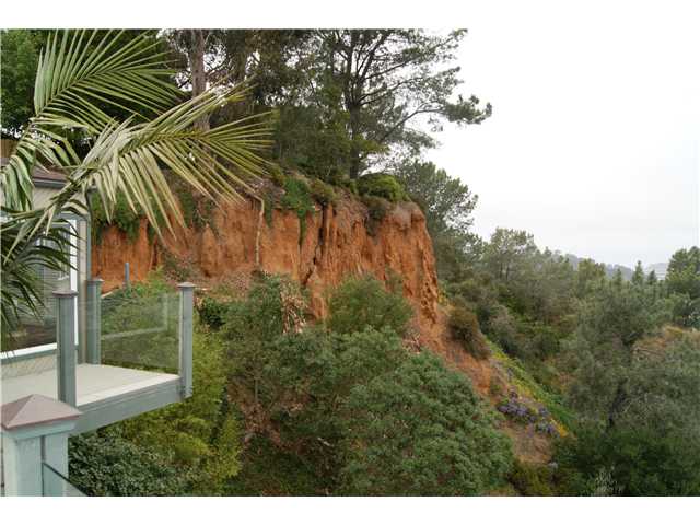 2480 Mango Way, Del Mar, CA 92014 photo 9