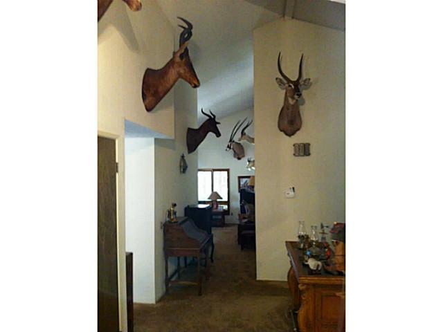 8017 Pine Blvd, Pine Valley, CA 91962 photo 6