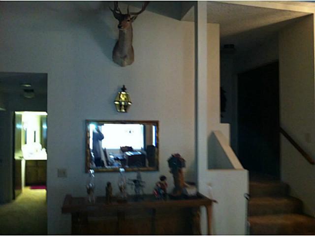 8017 Pine Blvd, Pine Valley, CA 91962 photo 2