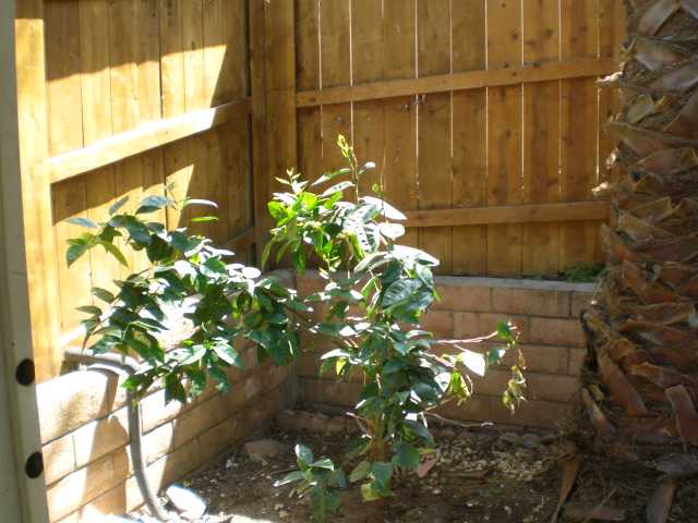 2533 Kings View Cir, Spring Valley, CA 91977 photo 8