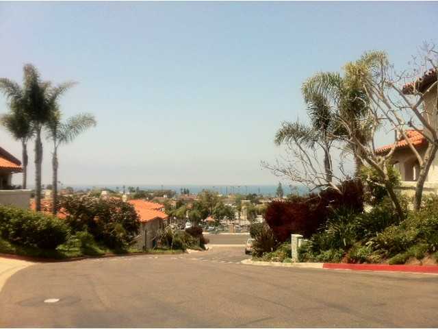 337 Playa Blanca, Encinitas, CA 92024 photo 18
