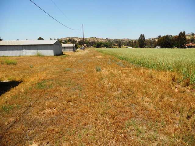 2159 Walnut Dr, Ramona, CA 92065 photo 22