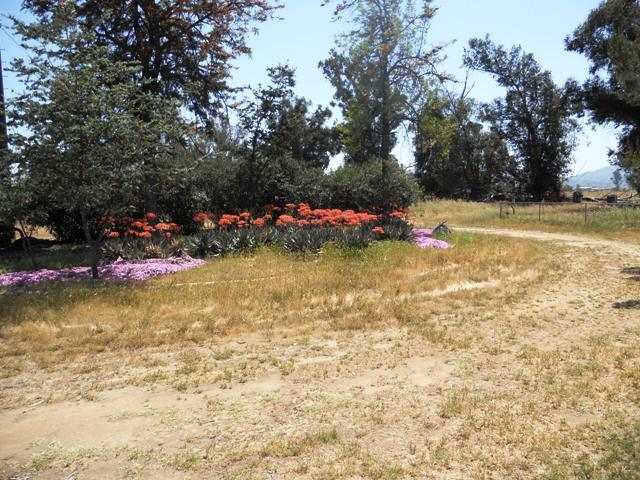 2159 Walnut Dr, Ramona, CA 92065 photo 18