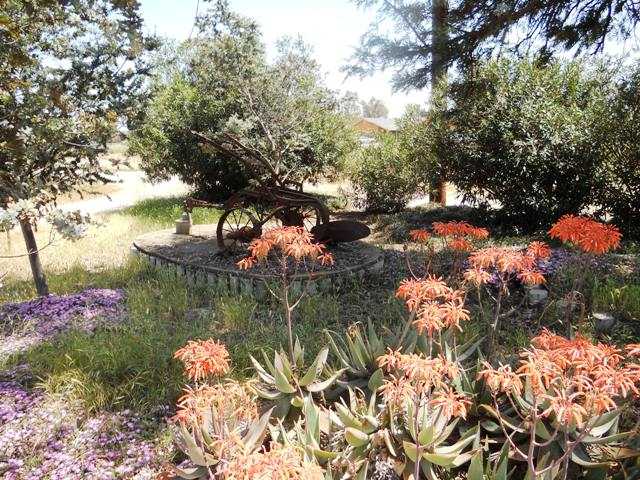 2159 Walnut Dr, Ramona, CA 92065 photo 19