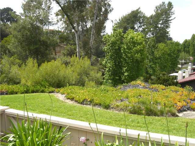 131 S Darien Dr, Encinitas, CA 92024 photo 7