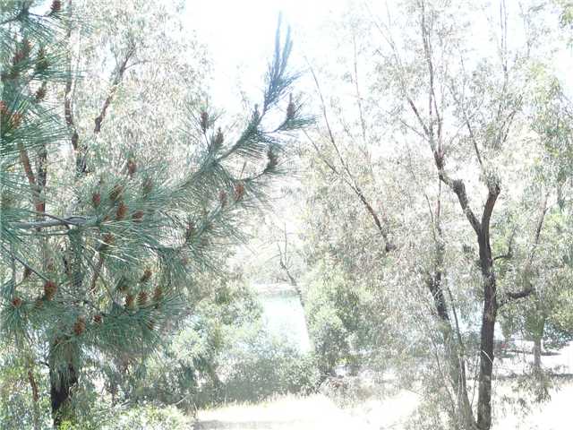9750 Settle Rd, Santee, CA 92071 photo 6