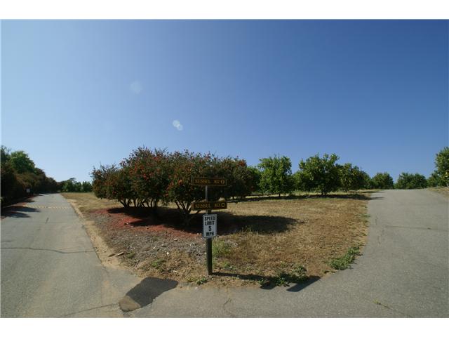 167 Burma Rd, Fallbrook, CA 92028 photo 8