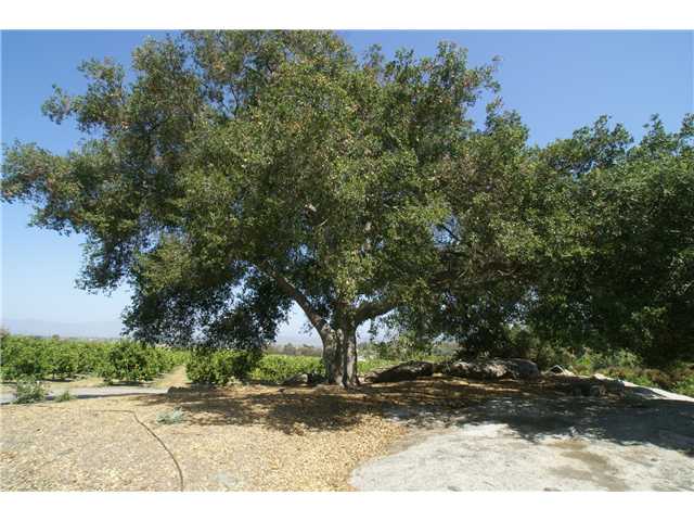 167 Burma Rd, Fallbrook, CA 92028 photo 4
