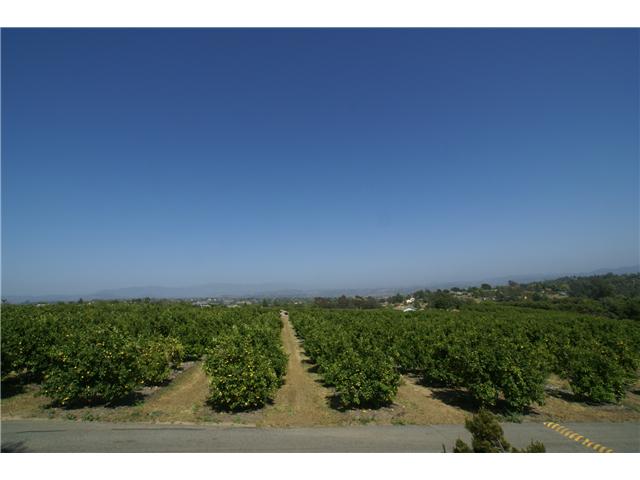 167 Burma Rd, Fallbrook, CA 92028 photo 5