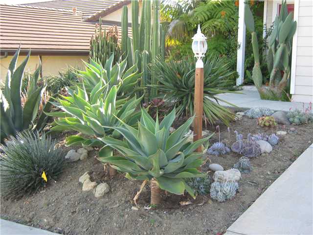 1576 Hawk View Dr, Encinitas, CA 92024 photo 18