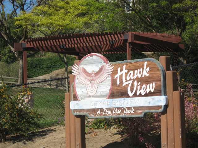 1576 Hawk View Dr, Encinitas, CA 92024 photo 21