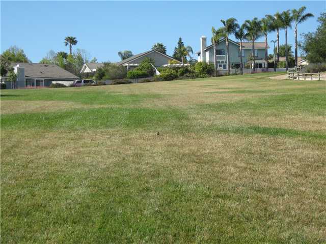 1576 Hawk View Dr, Encinitas, CA 92024 photo 22