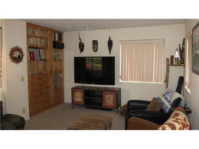 1141 Arden Dr, Encinitas, CA 92024 photo 13