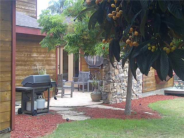 1141 Arden Dr, Encinitas, CA 92024 photo 19