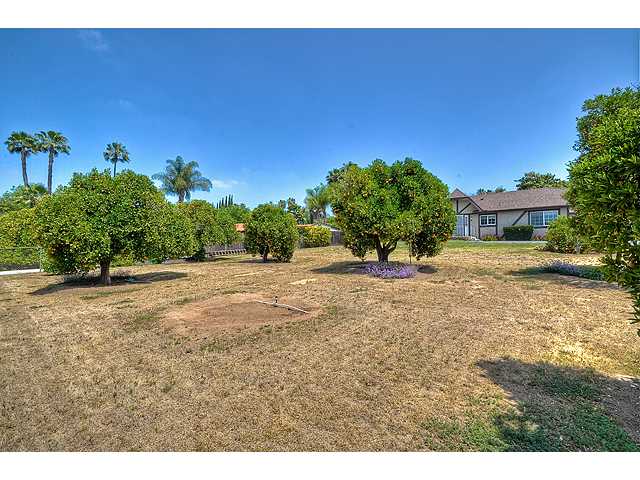 1717 Summit Dr, Escondido, CA 92027 photo 17