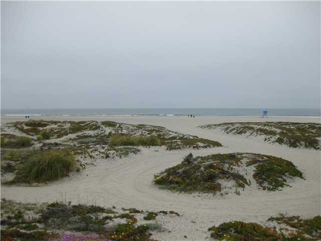 1114 G Ave, Coronado, CA 92118 photo 19