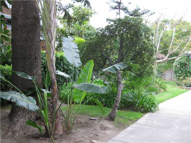 1114 G Ave, Coronado, CA 92118 photo 3