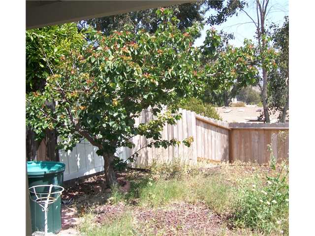 3959 San Pablo Ave, Oceanside, CA 92057 photo 5