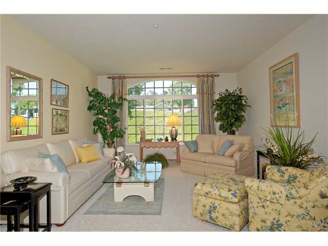 246 Sky Country Ct, Fallbrook, CA 92028 photo 4