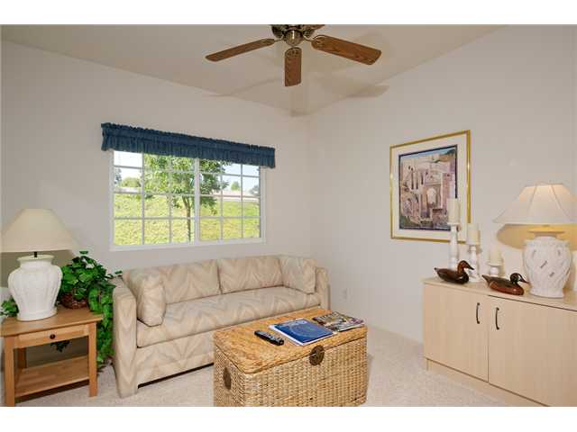 246 Sky Country Ct, Fallbrook, CA 92028 photo 19