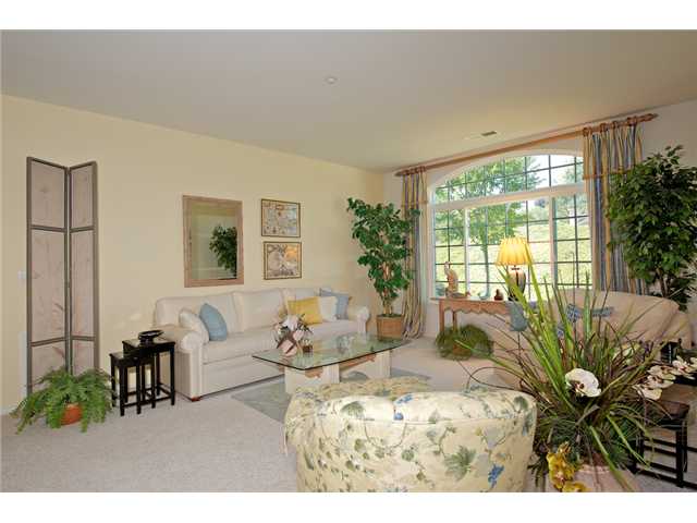 246 Sky Country Ct, Fallbrook, CA 92028 photo 3
