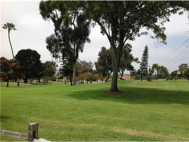 1976 Fairlee Dr, Encinitas, CA 92024 photo 18