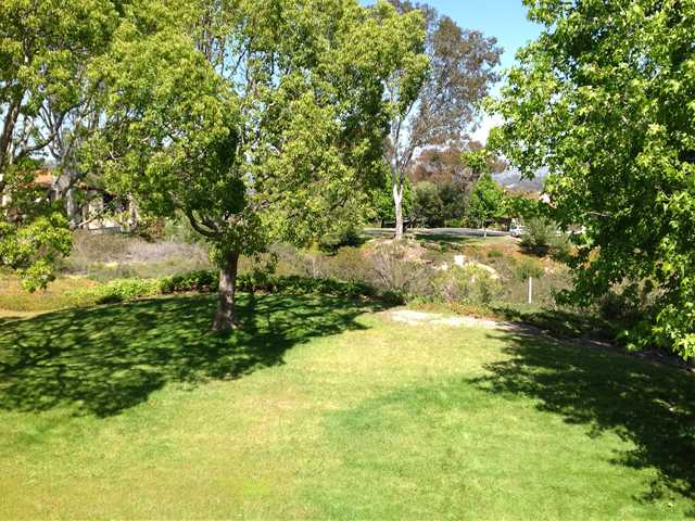 1976 Fairlee Dr, Encinitas, CA 92024 photo 8
