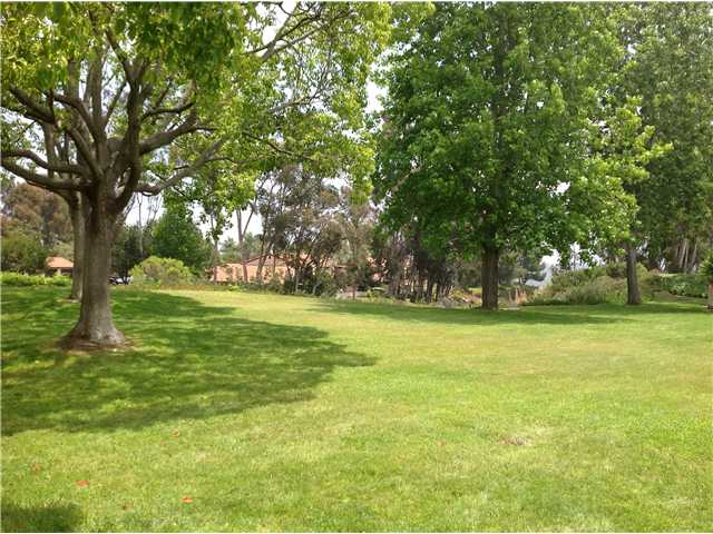1976 Fairlee Dr, Encinitas, CA 92024 photo 6