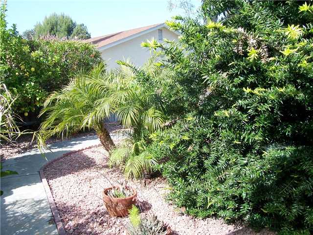 344 San Dimas Ave, Oceanside, CA 92057 photo 3