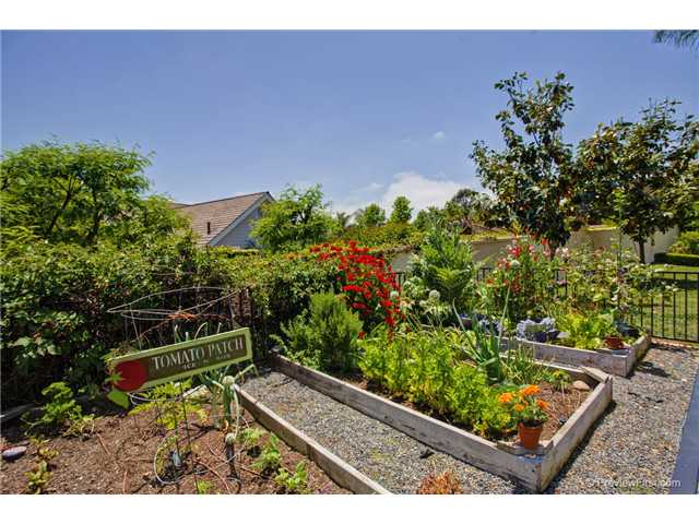 2363 Carolyn Pl, Encinitas, CA 92024 photo 9