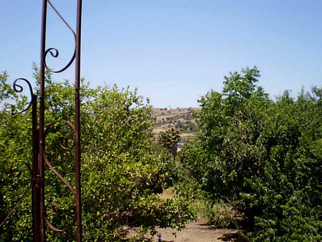 1130 Ranger Rd, Fallbrook, CA 92028 photo 15