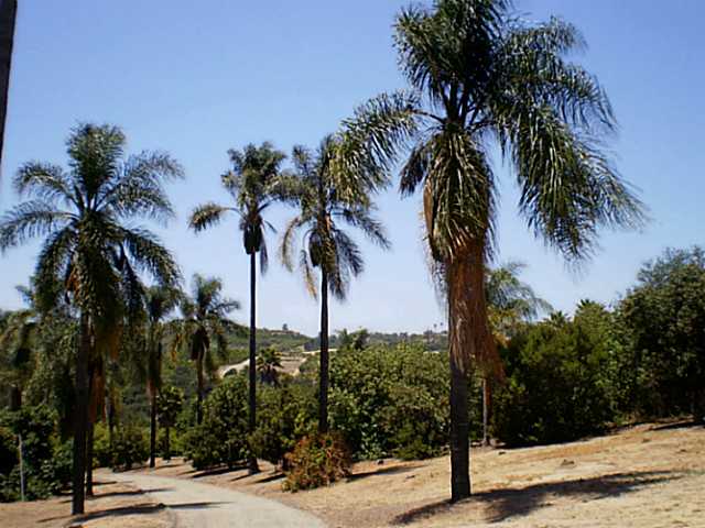 1130 Ranger Rd, Fallbrook, CA 92028 photo 21