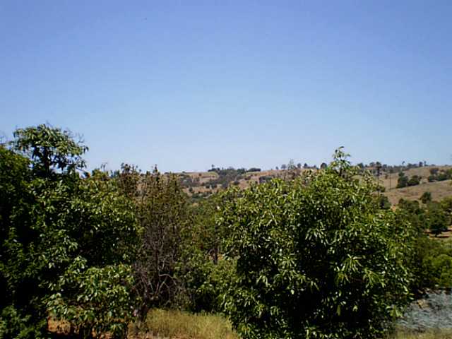 1130 Ranger Rd, Fallbrook, CA 92028 photo 13