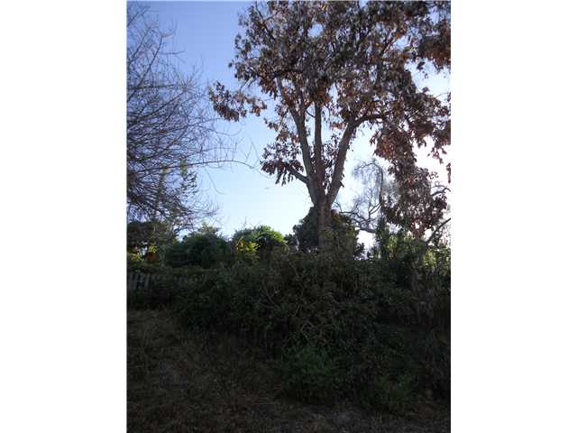 4996 Pine St, La Mesa, CA 91942 photo 22