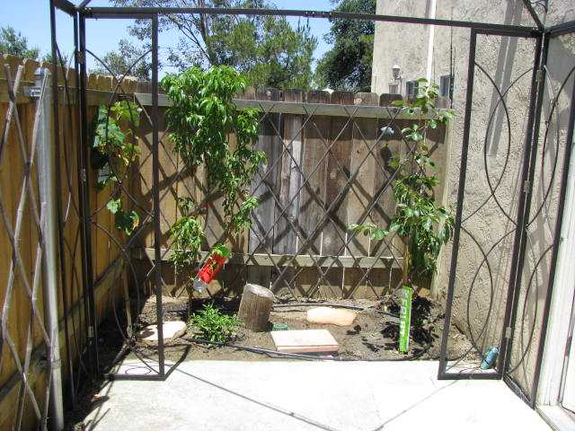  2616 Alpine Blvd #31, Alpine, CA 91901 photo 11