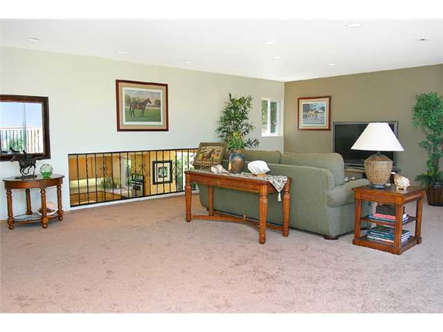 344 Seeman Dr, Encinitas, CA 92024 photo 12