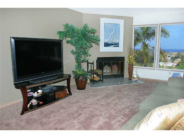 344 Seeman Dr, Encinitas, CA 92024 photo 10
