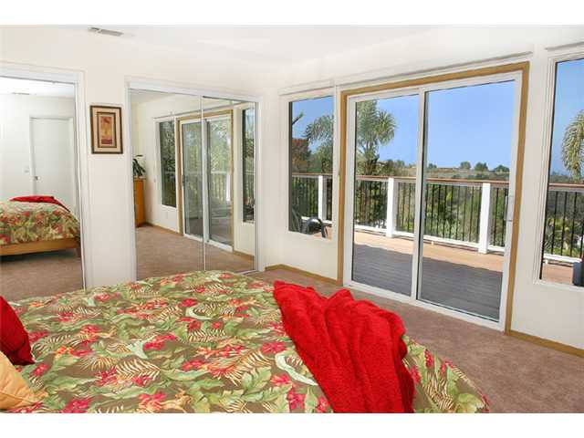 344 Seeman Dr, Encinitas, CA 92024 photo 17