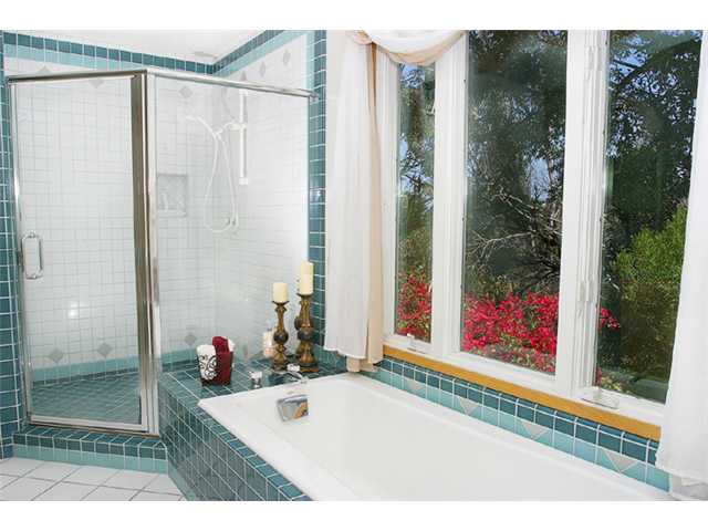 344 Seeman Dr, Encinitas, CA 92024 photo 19