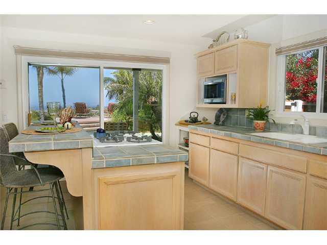 344 Seeman Dr, Encinitas, CA 92024 photo 23
