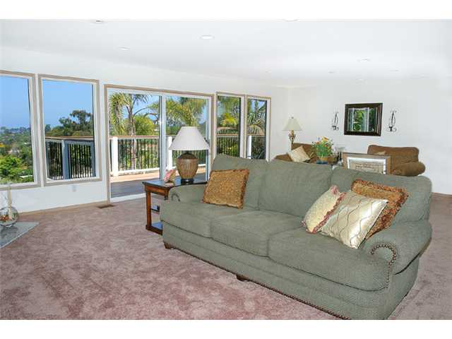 344 Seeman Dr, Encinitas, CA 92024 photo 11