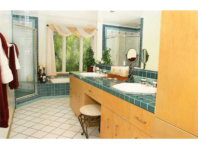 344 Seeman Dr, Encinitas, CA 92024 photo 18