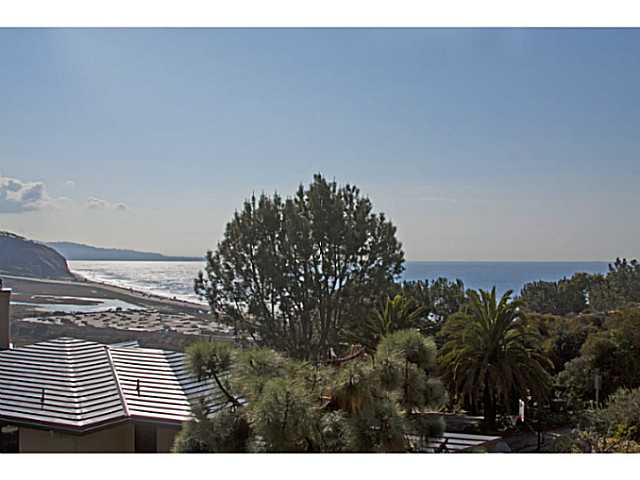 425 Torrey Point Rd, Del Mar, CA 92014 photo 5