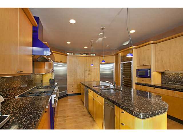 425 Torrey Point Rd, Del Mar, CA 92014 photo 15