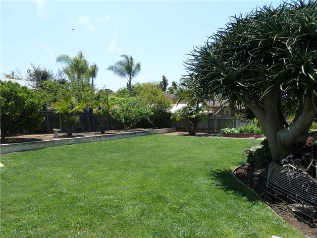 649 Orpheus Ave, Encinitas, CA 92024 photo 22