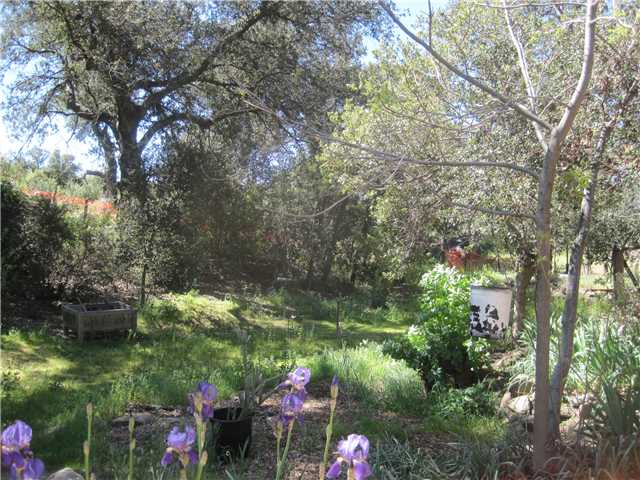 780 Forrest Gate Rd, Campo, CA 91906 photo 3