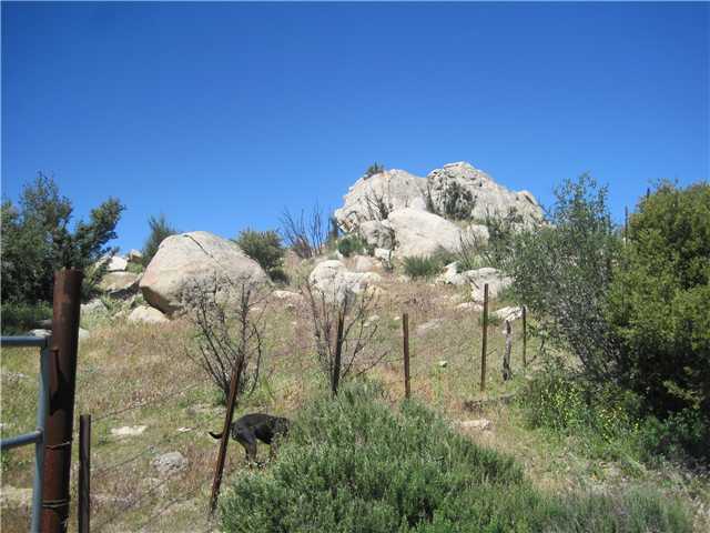 780 Forrest Gate Rd, Campo, CA 91906 photo 19